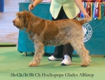 Filename=H-GladysAllfawp.jpg
Filesize=43KiB
Dimensions=550x421
Date added=Sep 14, 2009 H-GladysAllfawp.jpg
