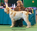 M-Ferdinando.jpg