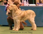 M-ItsALoveThing.jpg