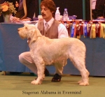 Filename=S-Alabama.jpg
Filesize=48KiB
Dimensions=550x511
Date added=Sep 14, 2009 S-Alabama.jpg