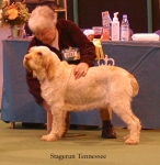 Filename=S-Tennessee.jpg
Filesize=43KiB
Dimensions=550x562
Date added=Sep 14, 2009 S-Tennessee.jpg