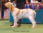 Filename=W-CrackerJack.jpg
Filesize=42KiB
Dimensions=550x423
Date added=Sep 14, 2009 W-CrackerJack.jpg