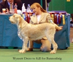Filename=W-DressToKill.jpg
Filesize=58KiB
Dimensions=550x469
Date added=Sep 14, 2009 W-DressToKill.jpg
