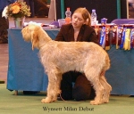 Filename=W-MilanDebut.jpg
Filesize=56KiB
Dimensions=550x470
Date added=Sep 14, 2009 W-MilanDebut.jpg