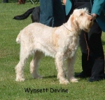 Dateiname=W Devine.jpg
Dateigröße=72KB
Abmessungen: 550x521
hinzugefügt am: 14. September 2009 W Devine.jpg