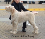 Filename=O Tansy.jpg
Filesize=68KiB
Dimensions=550x479
Date added=Sep 14, 2009 O Tansy.jpg