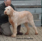 Nom du fichier=R Rhuannon .jpg
Taille du fichier=60Ko
Dimensions : 550x533
Ajouté le : 14 Septembre 2009 R Rhuannon .jpg