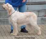 Nom du fichier=S Tennessee.jpg
Taille du fichier=59Ko
Dimensions : 550x460
Ajouté le : 14 Septembre 2009 S Tennessee.jpg