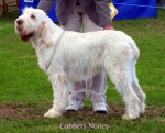 Filename=C-Noney.jpg
Filesize=51KiB
Dimensions=550x447
Date added=Sep 14, 2009 C-Noney.jpg