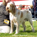 Dateiname=M-Ferdinando.jpg
Dateigröße=52KB
Abmessungen: 550x544
hinzugefügt am: 14. September 2009 M-Ferdinando.jpg