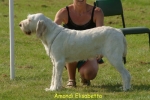 Filename=A-Elisabetta.jpg
Filesize=50KiB
Dimensions=550x367
Date added=Sep 14, 2009 A-Elisabetta.jpg