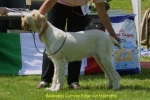Filename=B-CuttingEdge.jpg
Filesize=53KiB
Dimensions=550x367
Date added=Sep 14, 2009 B-CuttingEdge.jpg