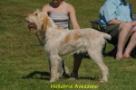 Dateiname=H-Avezzano.jpg
Dateigröße=54KB
Abmessungen: 550x367
hinzugefügt am: 14. September 2009 H-Avezzano.jpg
