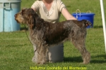 Dateiname=H-Caianella.jpg
Dateigröße=53KB
Abmessungen: 550x367
hinzugefügt am: 14. September 2009 H-Caianella.jpg