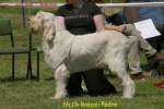 Filename=R-Pedro.jpg
Filesize=52KiB
Dimensions=550x367
Date added=Sep 14, 2009 R-Pedro.jpg