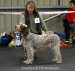 Filename=A-Divertimento.jpg
Filesize=49KiB
Dimensions=550x518
Date added=Sep 14, 2009 A-Divertimento.jpg