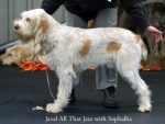 Filename=J-AllThatJazz.jpg
Filesize=48KiB
Dimensions=550x416
Date added=Sep 14, 2009 J-AllThatJazz.jpg