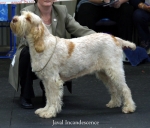 Filename=J-Incandescence.jpg
Filesize=49KiB
Dimensions=550x470
Date added=Sep 14, 2009 J-Incandescence.jpg