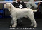 Filename=K-Newl.jpg
Filesize=44KiB
Dimensions=550x393
Date added=Sep 14, 2009 K-Newl.jpg