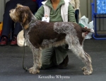 Filename=K-Whystra.jpg
Filesize=46KiB
Dimensions=550x421
Date added=Sep 14, 2009 K-Whystra.jpg