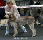 M-Candolini.jpg