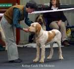 Filename=R-CatchTheMoment.jpg
Filesize=48KiB
Dimensions=550x515
Date added=Sep 14, 2009 R-CatchTheMoment.jpg
