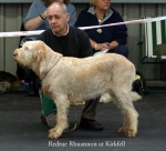 Filename=R-Rhuannon.jpg
Filesize=57KiB
Dimensions=550x499
Date added=Sep 14, 2009 R-Rhuannon.jpg