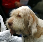 Filename=W-CrackerJack-2.jpg
Filesize=53KiB
Dimensions=550x542
Date added=Sep 14, 2009 W-CrackerJack-2.jpg