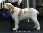 Filename=W-CrackerJack.jpg
Filesize=45KiB
Dimensions=550x418
Date added=Sep 14, 2009 W-CrackerJack.jpg