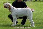 Filename=G-MagicWizard.jpg
Filesize=52KiB
Dimensions=550x369
Date added=Sep 14, 2009 G-MagicWizard.jpg