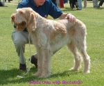 Filename=G-Otto.jpg
Filesize=52KiB
Dimensions=550x456
Date added=Sep 14, 2009 G-Otto.jpg