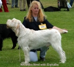 Filename=K-Newl.jpg
Filesize=49KiB
Dimensions=550x495
Date added=Sep 14, 2009 K-Newl.jpg