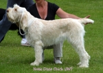 Filename=N-DixieChick.jpg
Filesize=50KiB
Dimensions=550x390
Date added=Sep 14, 2009 N-DixieChick.jpg