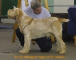 Filename=A-Nigel.jpg
Filesize=49KiB
Dimensions=550x435
Date added=Sep 14, 2009 A-Nigel.jpg