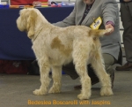 Filename=B-Boscarelli.jpg
Filesize=47KiB
Dimensions=550x444
Date added=Sep 14, 2009 B-Boscarelli.jpg