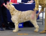 Filename=B-Gem.jpg
Filesize=45KiB
Dimensions=550x430
Date added=Sep 14, 2009 B-Gem.jpg