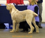Filename=B-JackTheLad.jpg
Filesize=49KiB
Dimensions=550x462
Date added=Sep 14, 2009 B-JackTheLad.jpg