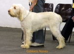 Filename=C-Noney.jpg
Filesize=48KiB
Dimensions=550x409
Date added=Sep 14, 2009 C-Noney.jpg