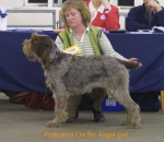 Filename=F-ImNoAngel.jpg
Filesize=52KiB
Dimensions=550x479
Date added=Sep 14, 2009 F-ImNoAngel.jpg