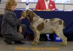 Filename=F-Laerzio.jpg
Filesize=55KiB
Dimensions=550x382
Date added=Sep 14, 2009 F-Laerzio.jpg
