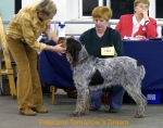 Filename=F-TomorrowsDream.jpg
Filesize=50KiB
Dimensions=550x435
Date added=Sep 14, 2009 F-TomorrowsDream.jpg