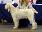 Dateiname=K-Newl.jpg
Dateigröße=52KB
Abmessungen: 550x417
hinzugefügt am: 14. September 2009 K-Newl.jpg