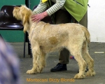 Dateiname=M-DizzyBlonde.jpg
Dateigröße=46KB
Abmessungen: 550x442
hinzugefügt am: 14. September 2009 M-DizzyBlonde.jpg