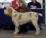 Dateiname=M-Ferdinando.jpg
Dateigröße=42KB
Abmessungen: 550x461
hinzugefügt am: 14. September 2009 M-Ferdinando.jpg