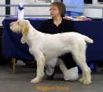 Dateiname=M-Grazia.jpg
Dateigröße=42KB
Abmessungen: 550x488
hinzugefügt am: 14. September 2009 M-Grazia.jpg