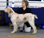 Dateiname=M-Isabella.jpg
Dateigröße=45KB
Abmessungen: 550x474
hinzugefügt am: 14. September 2009 M-Isabella.jpg