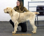 Dateiname=M-MoonRiver.jpg
Dateigröße=45KB
Abmessungen: 550x451
hinzugefügt am: 14. September 2009 M-MoonRiver.jpg