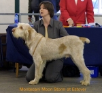 Dateiname=M-MoonStorm.jpg
Dateigröße=42KB
Abmessungen: 550x501
hinzugefügt am: 14. September 2009 M-MoonStorm.jpg