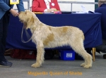Dateiname=M-QueenOfSheba.jpg
Dateigröße=52KB
Abmessungen: 550x410
hinzugefügt am: 14. September 2009 M-QueenOfSheba.jpg