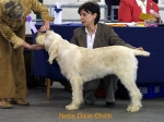 Dateiname=N-DixieChick.jpg
Dateigröße=44KB
Abmessungen: 550x414
hinzugefügt am: 14. September 2009 N-DixieChick.jpg